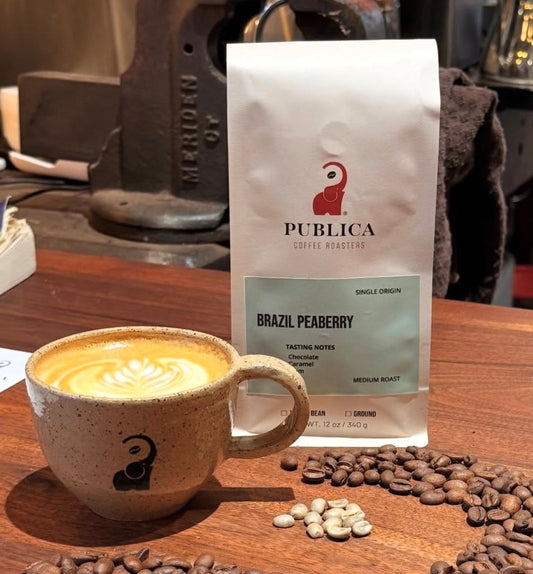 Brazilian Peaberry - Publica Coffee