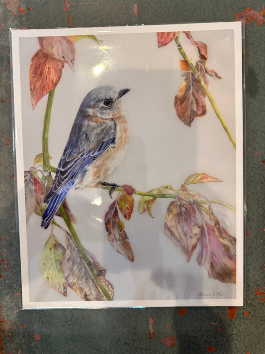 Bluebird Print 8x10"