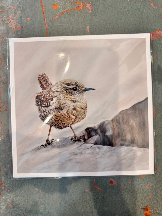 Wren Print 8x8"