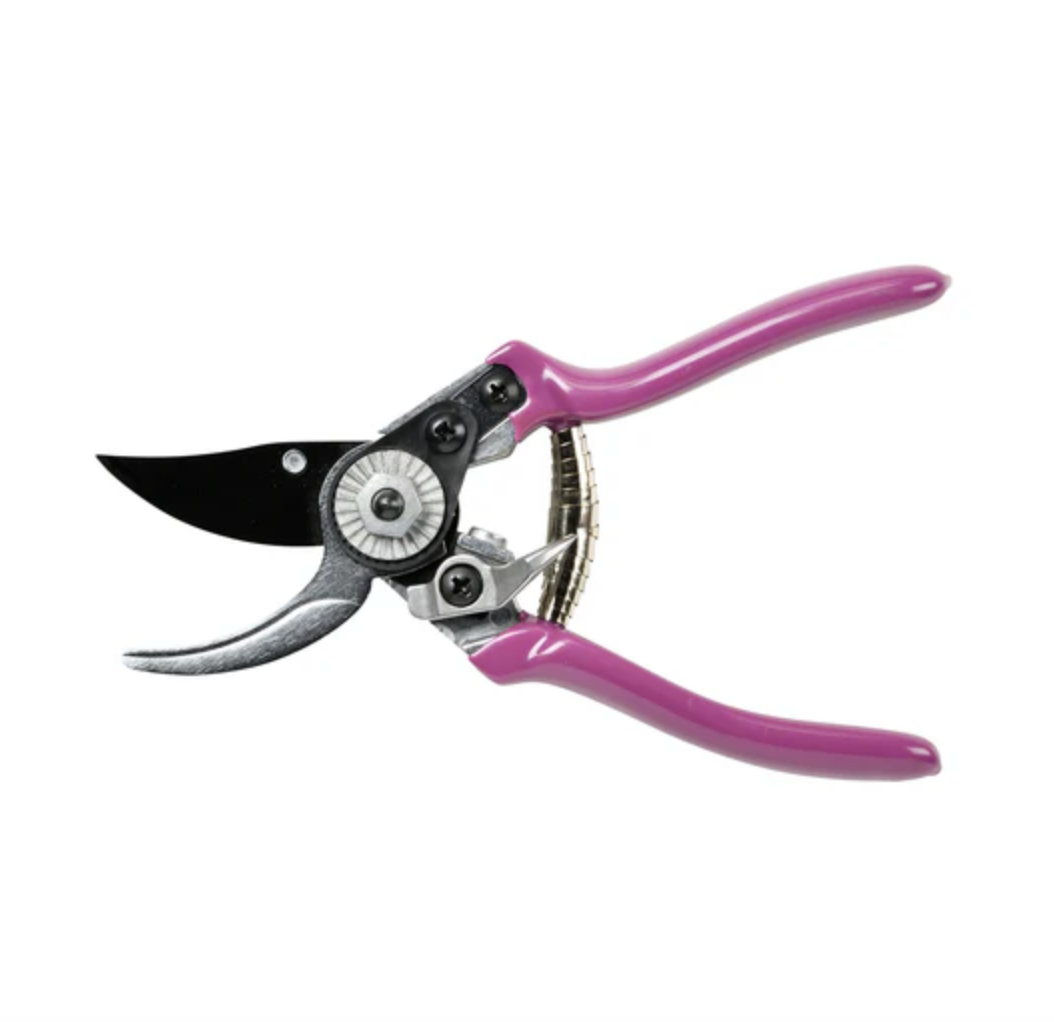 Asteraceae Pruner Holster Set