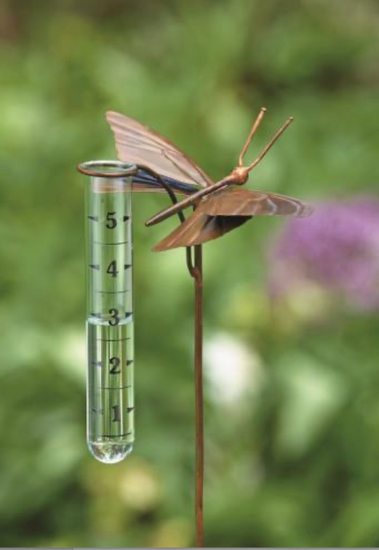 Butterfly Rain Gauge