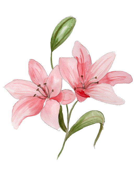 Watercolor Lilies Signed Art Print