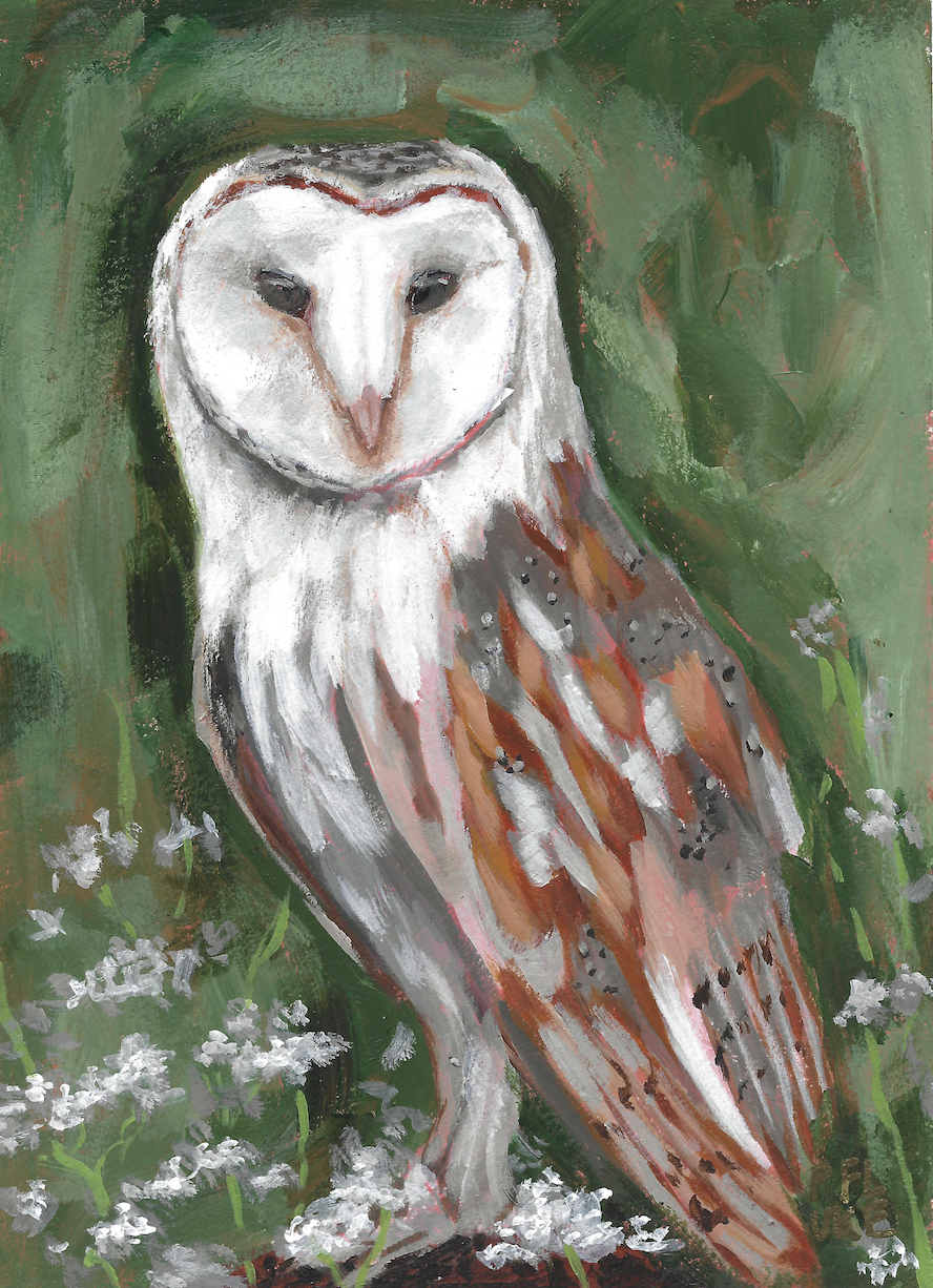 Wisdom is Beauty Signed Art Print