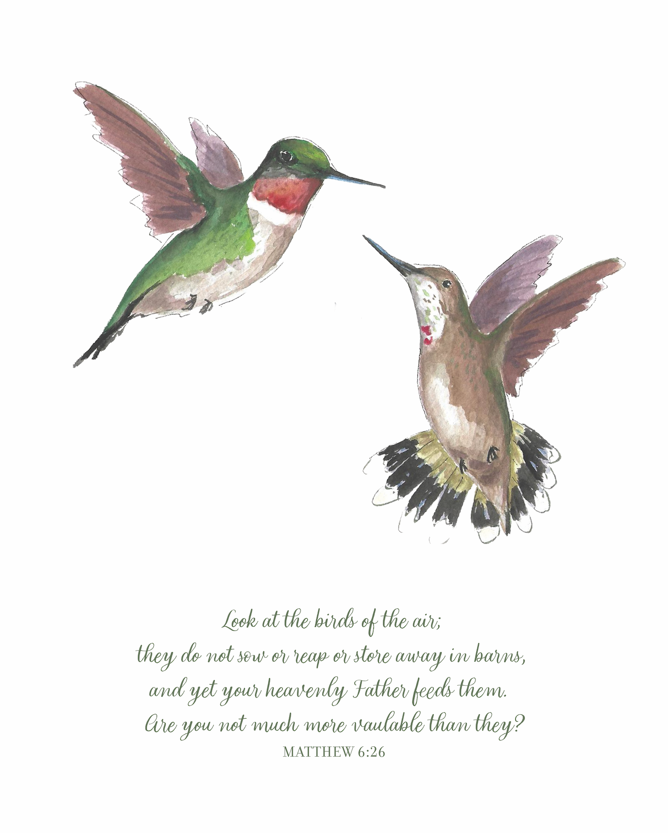 Matthew 6:26 Hummingbird Art