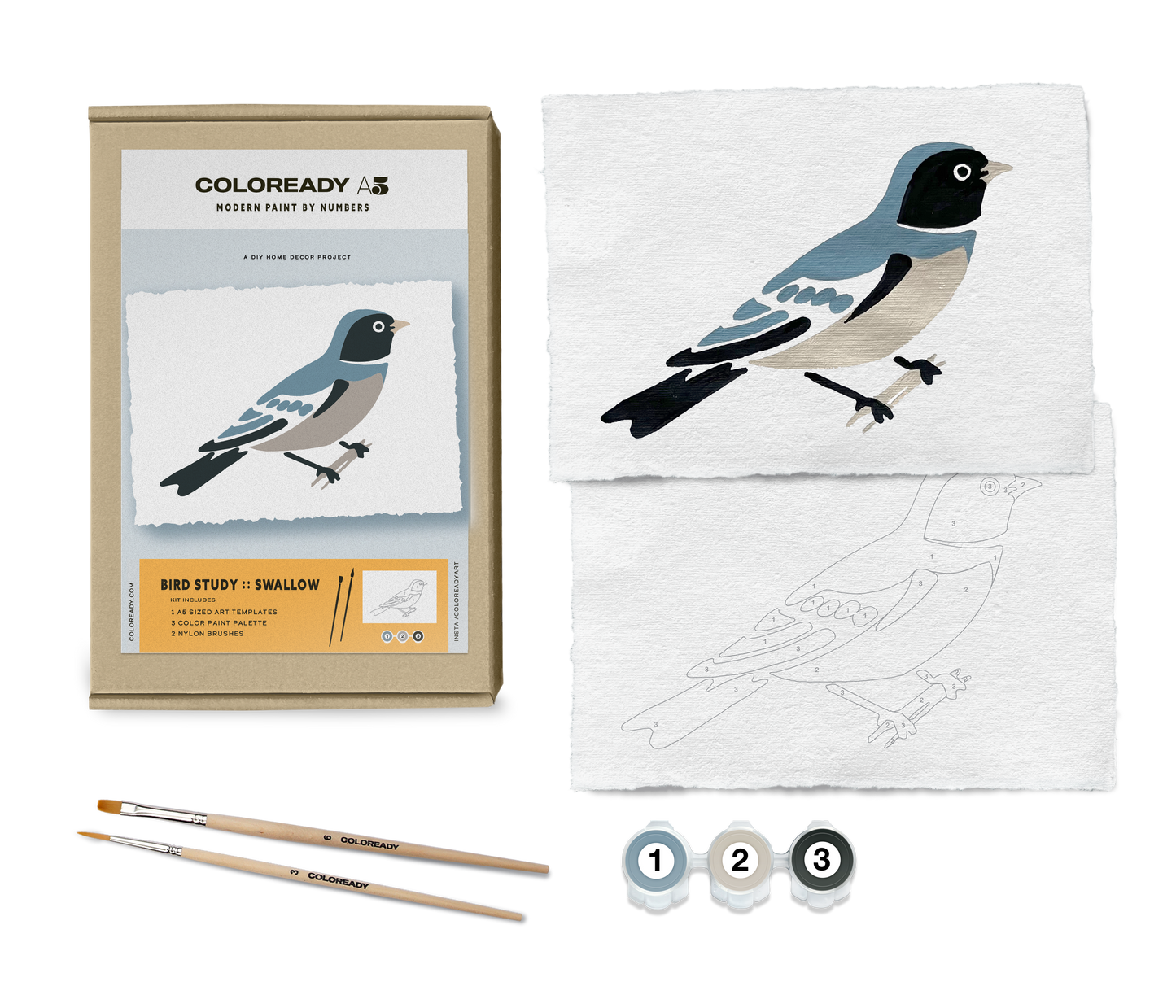 BIRD STUDY : SWALLOW - PAINT BY NUMBER