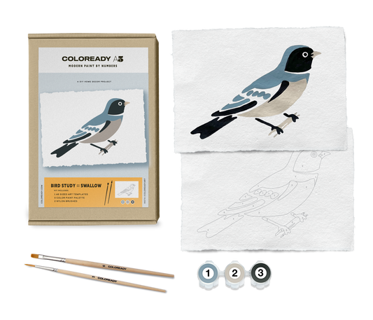 BIRD STUDY : SWALLOW - PAINT BY NUMBER