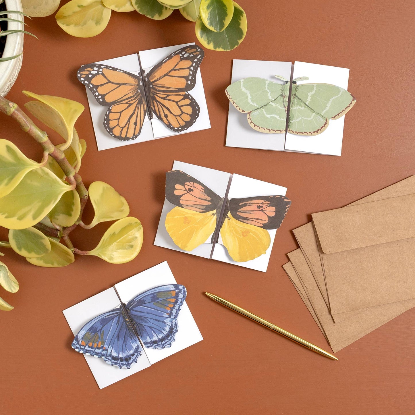 1canoe2 | One Canoe Two Paper Co. - Flutter Friends Butterfly Fold-Out Greeting Card Box Set