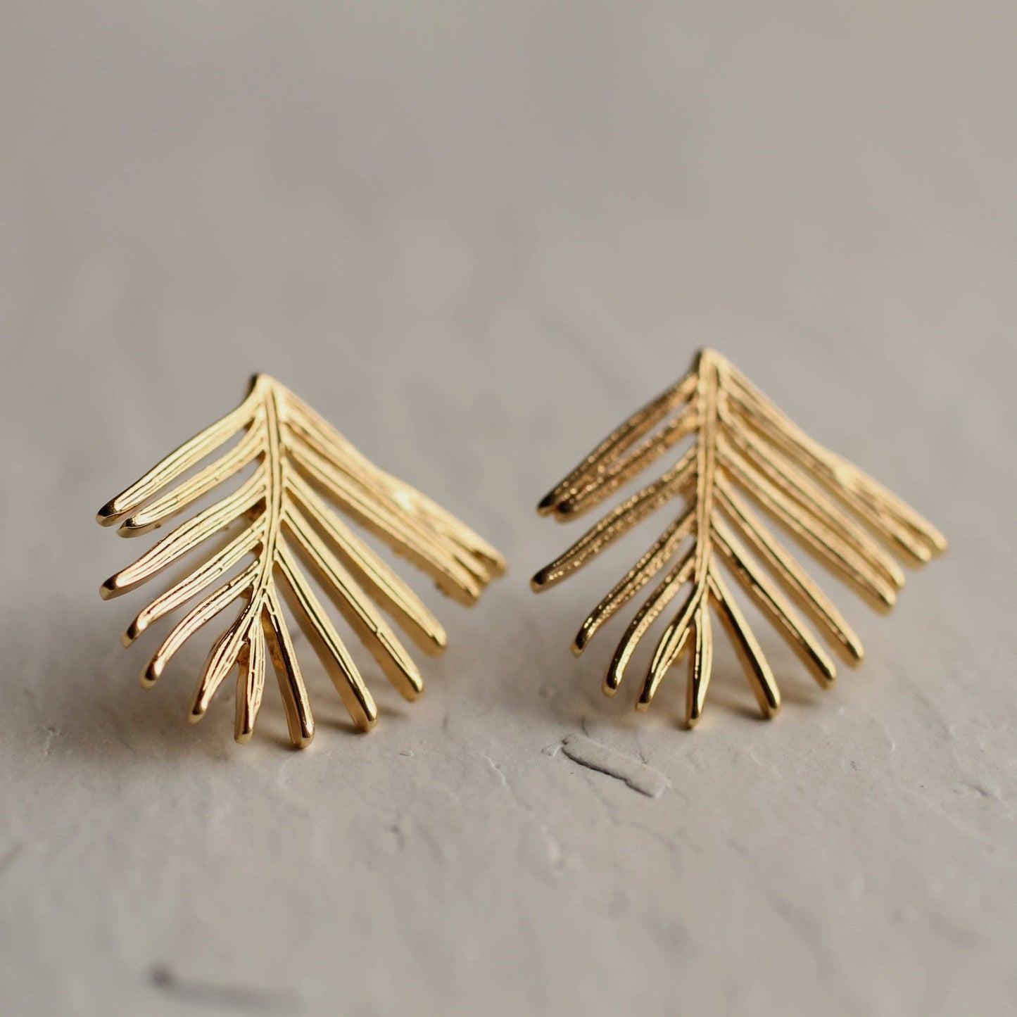 Silk Purse, Sow's Ear - Fir Botanical Stud Earrings