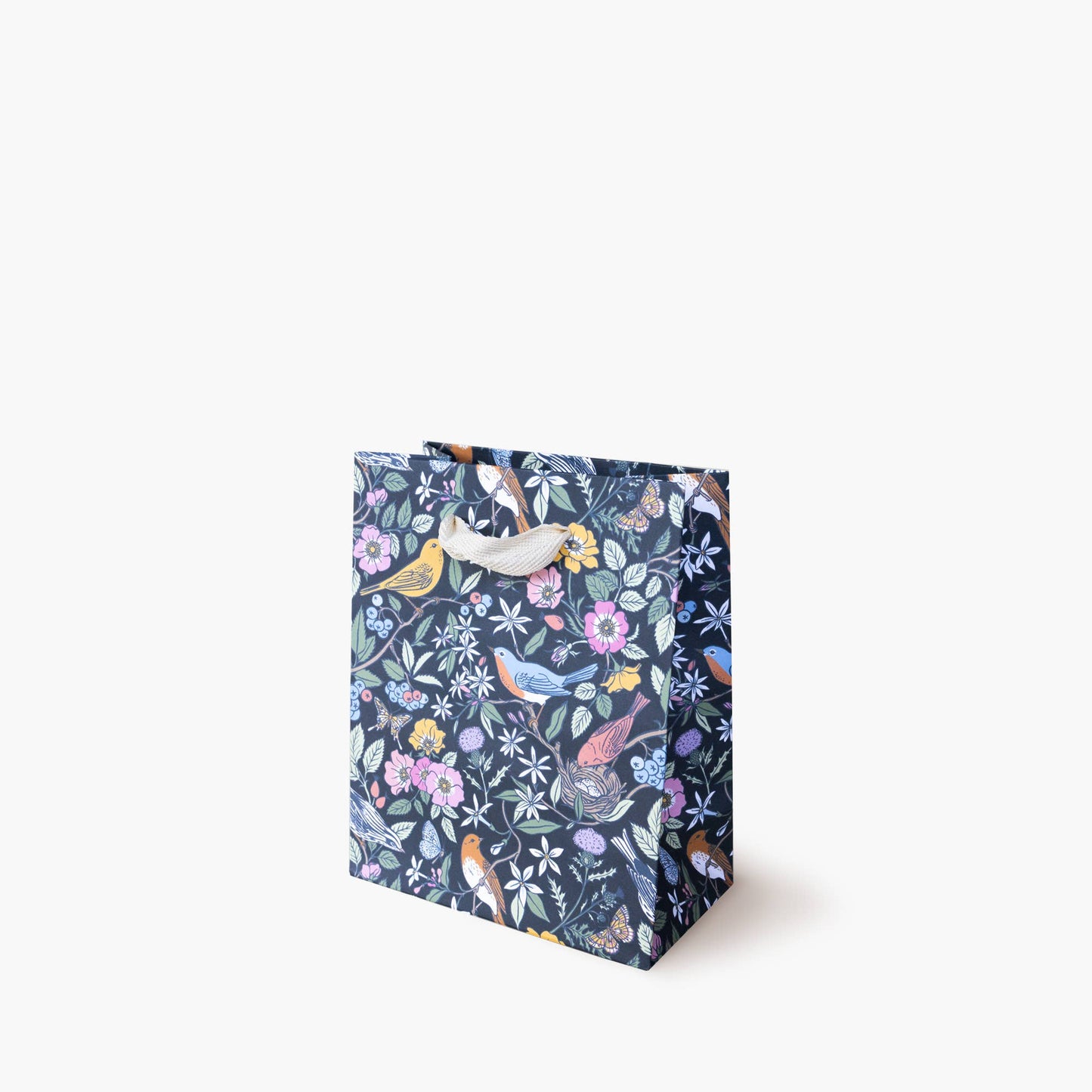 Botanica Paper Co. - SONG BIRDS | SMALL GIFT BAG