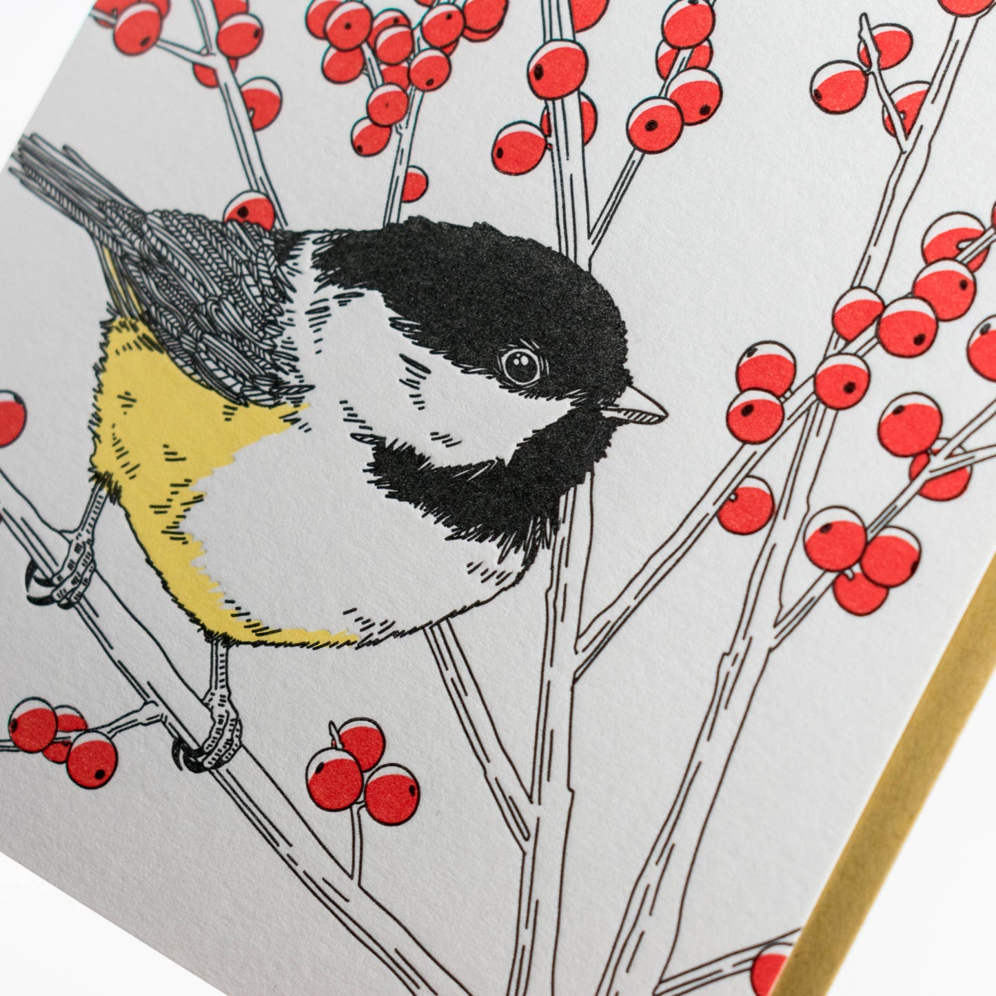 Black-capped Chickadee Card: Box Set of 6 Cards