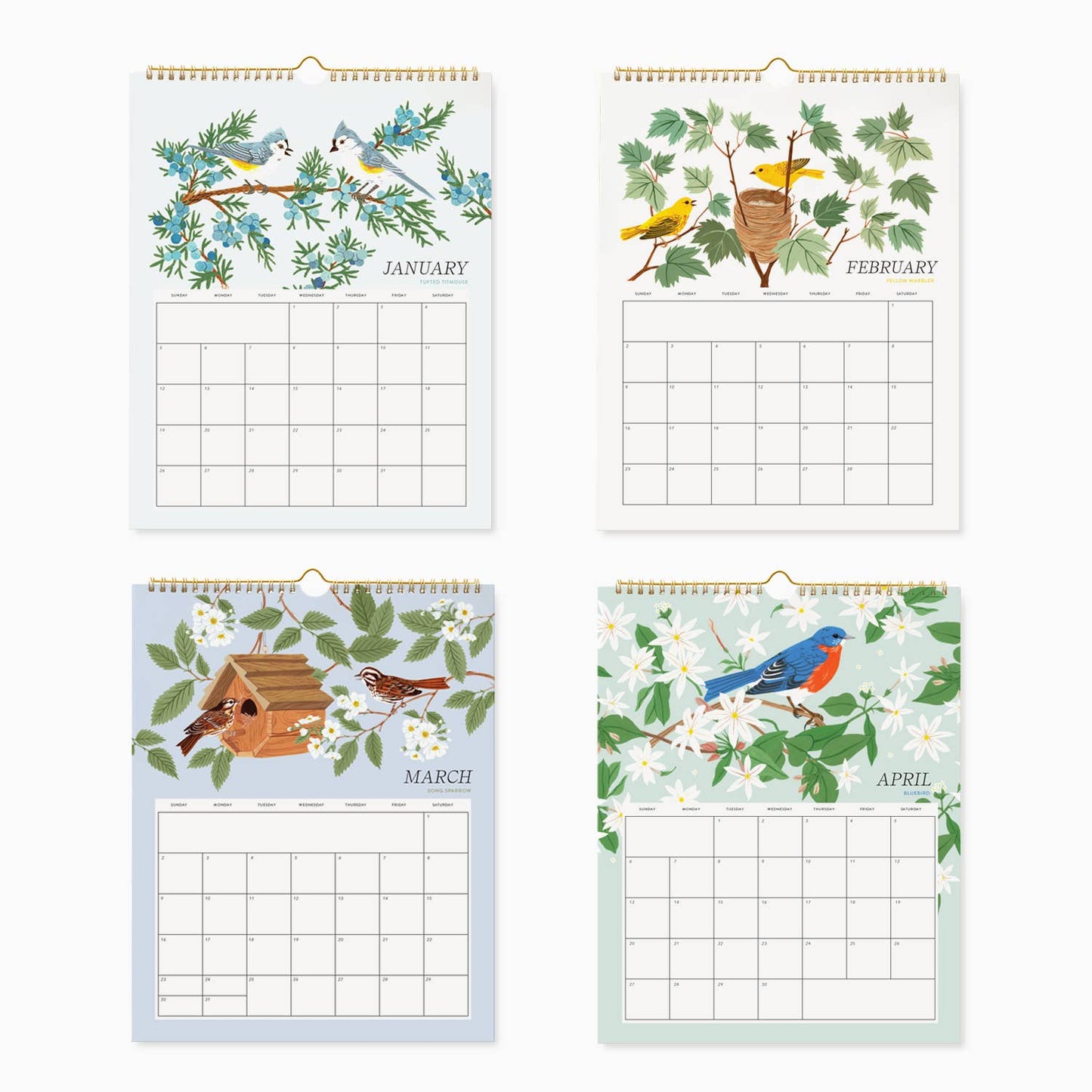 Botanica Paper Co. - 2025 WALL CALENDAR / SONG BIRDS