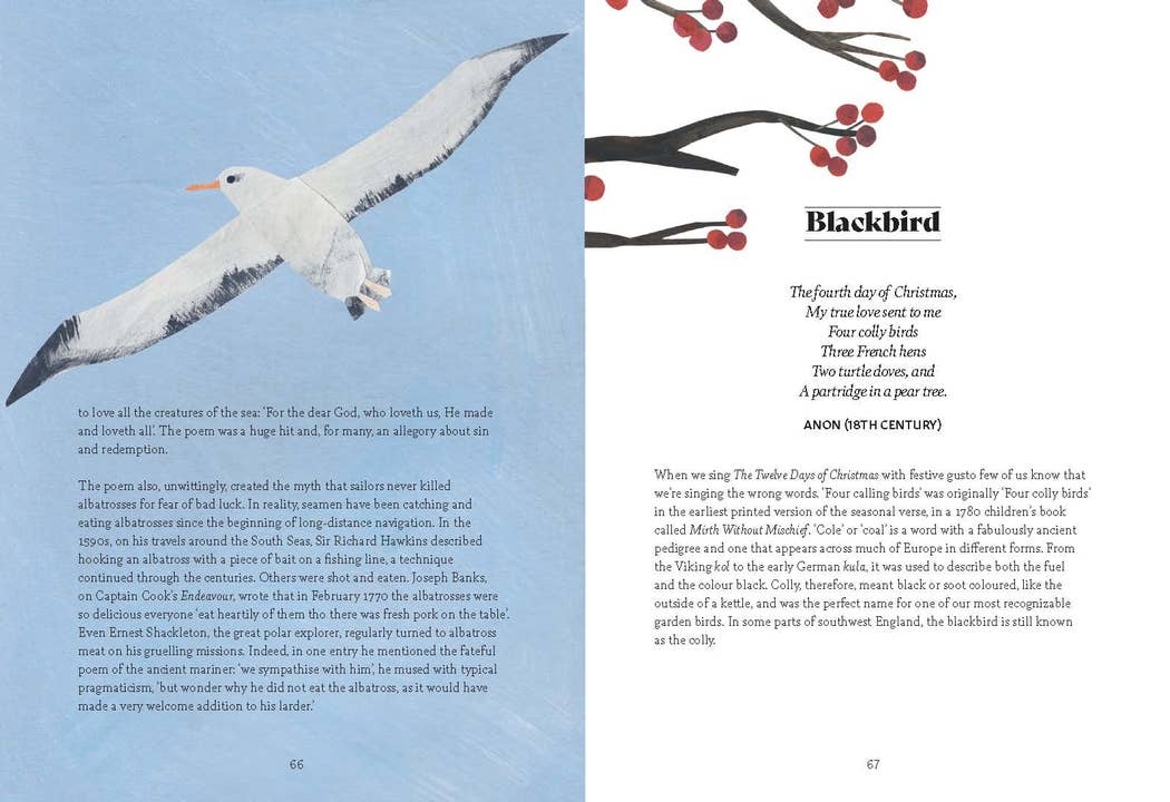 Chronicle Books - Bird Lore