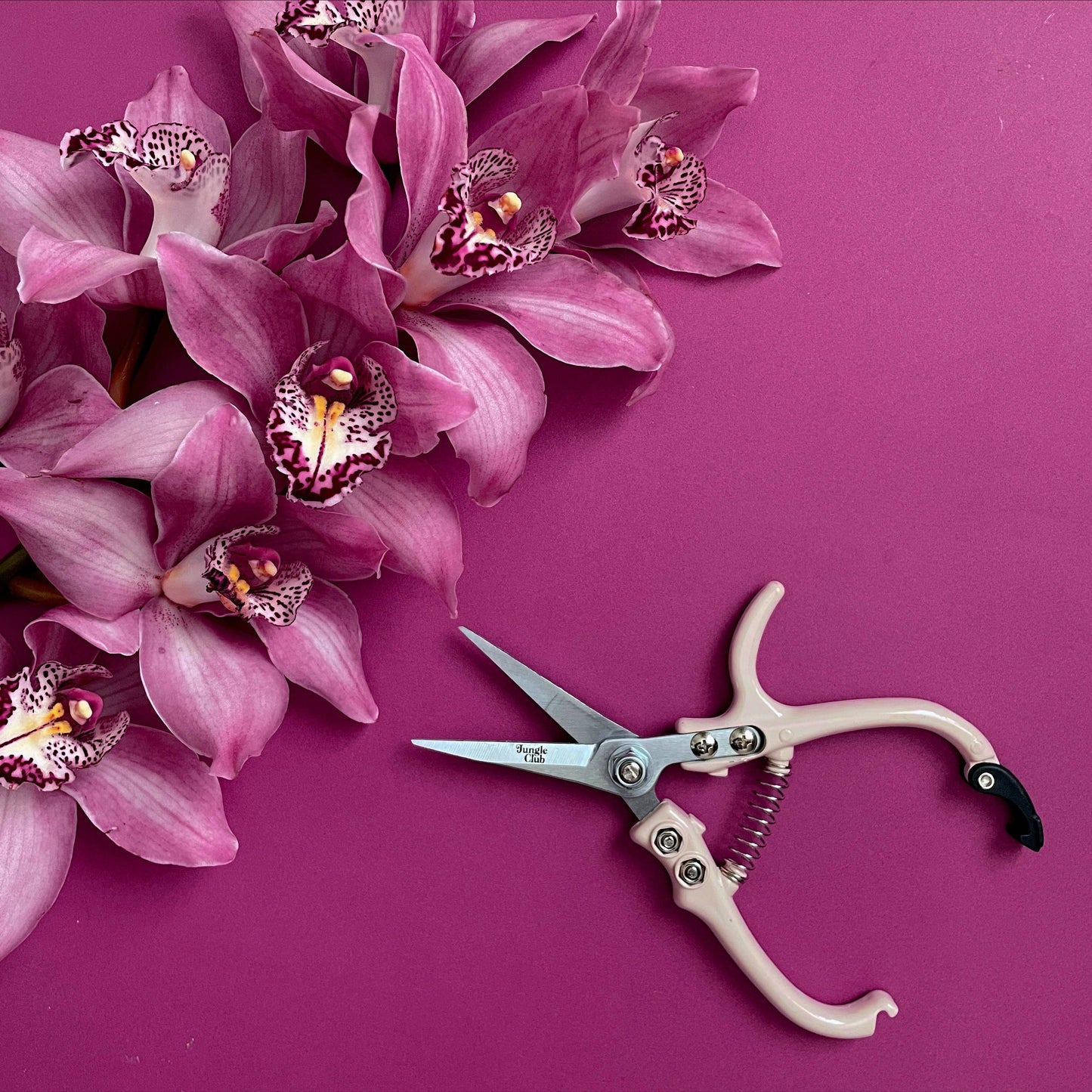 Jungle Club - Pruning Shears | Vanilla