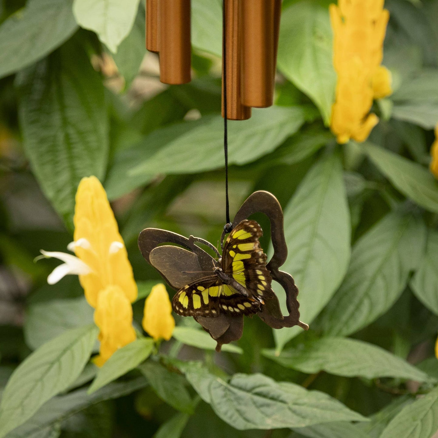 Woodstock Chimes - My Butterfly Chime™