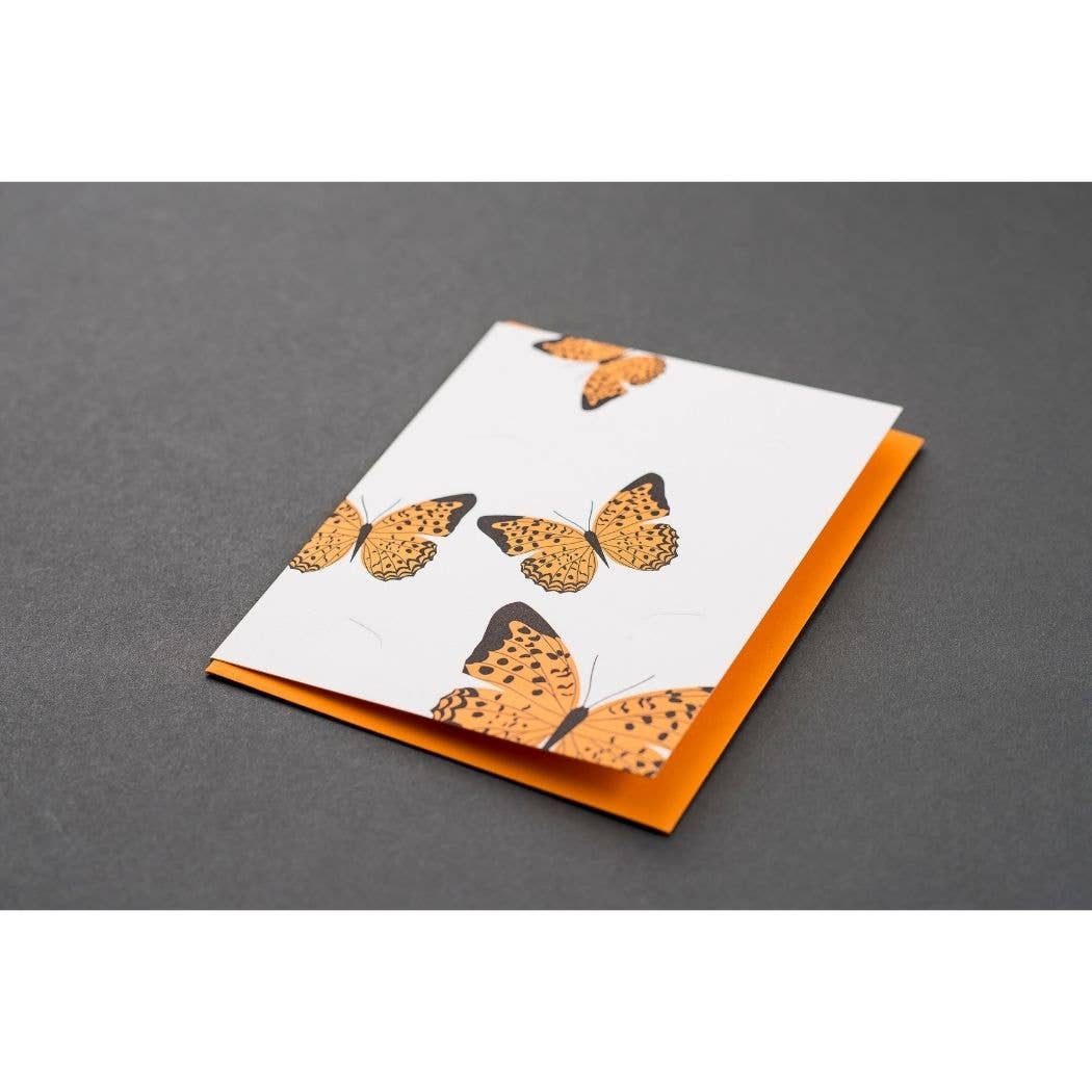 Butterfly Modern Card: Box Set of 6 Cards