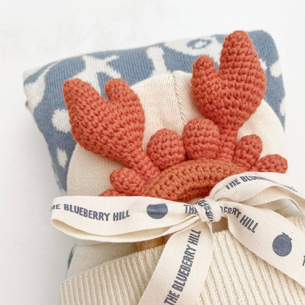 The Blueberry Hill - Blanket Nautical Summer Ocean Organic Cotton Baby Gift