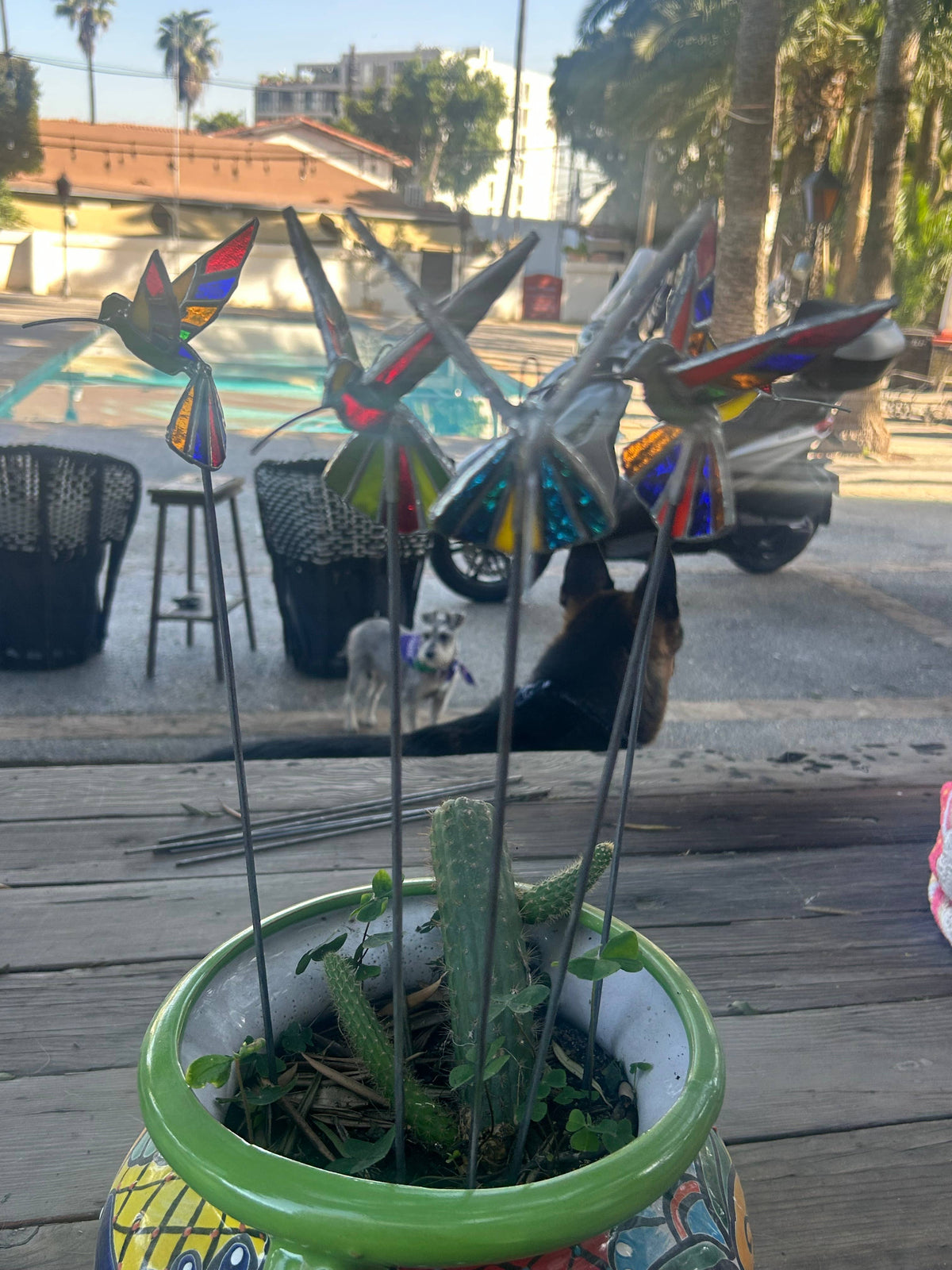 Stained glass stars and Talavera - Handmade Stained Glass Hummingbird Plant Stakes




With Rod