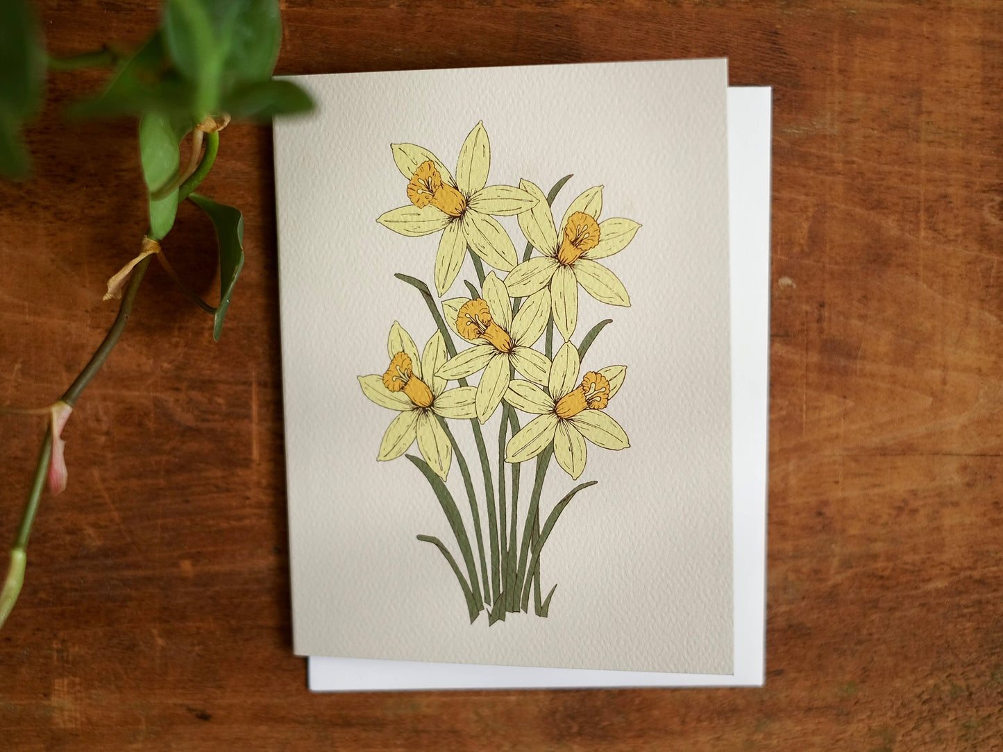 annalisa v. sawtell - The Botanical Promises Collection | Boxed Set of 8 | A2