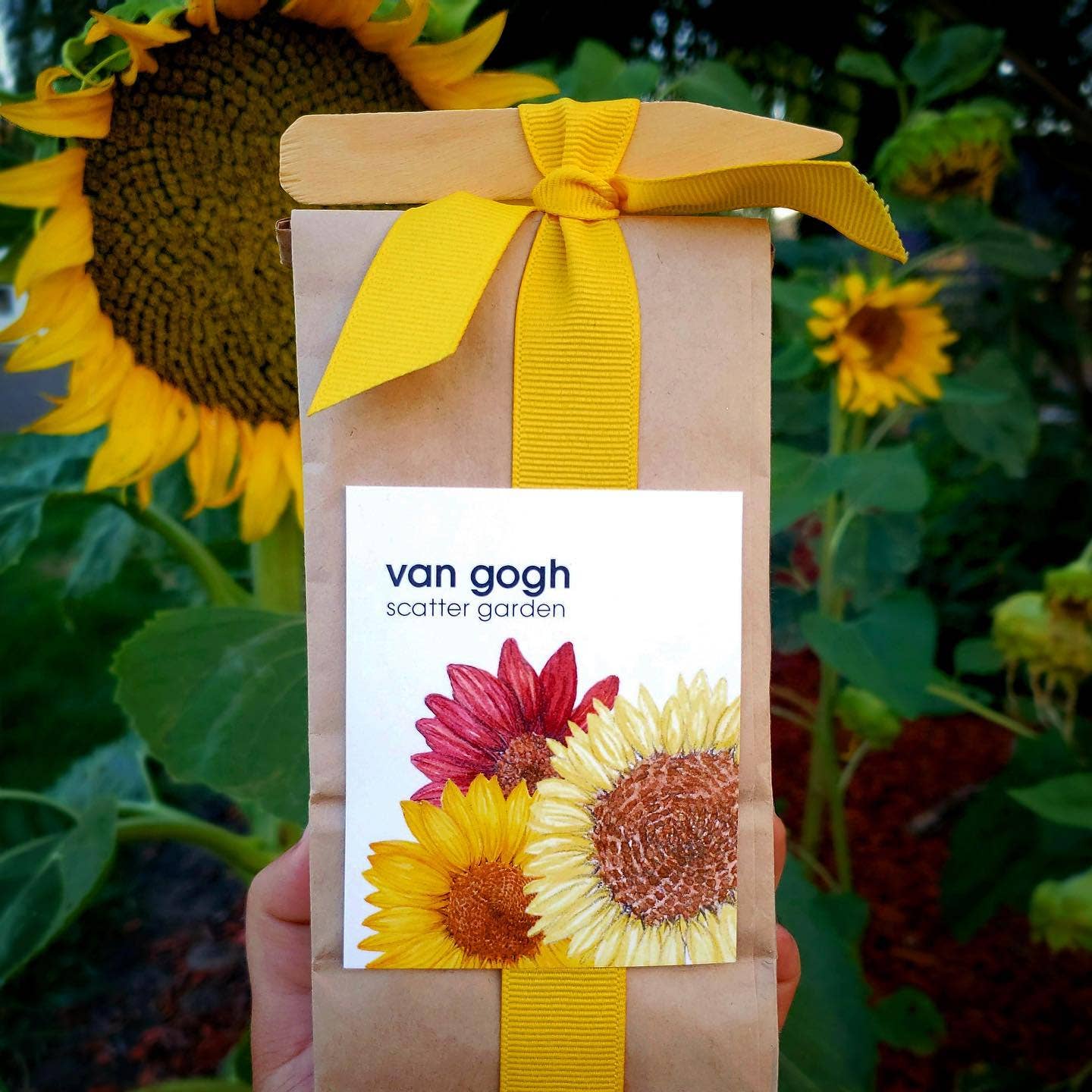 Potting Shed Creations, Ltd. - Scatter Garden | Van Gogh Sunflowers: Van Gogh Sunflower