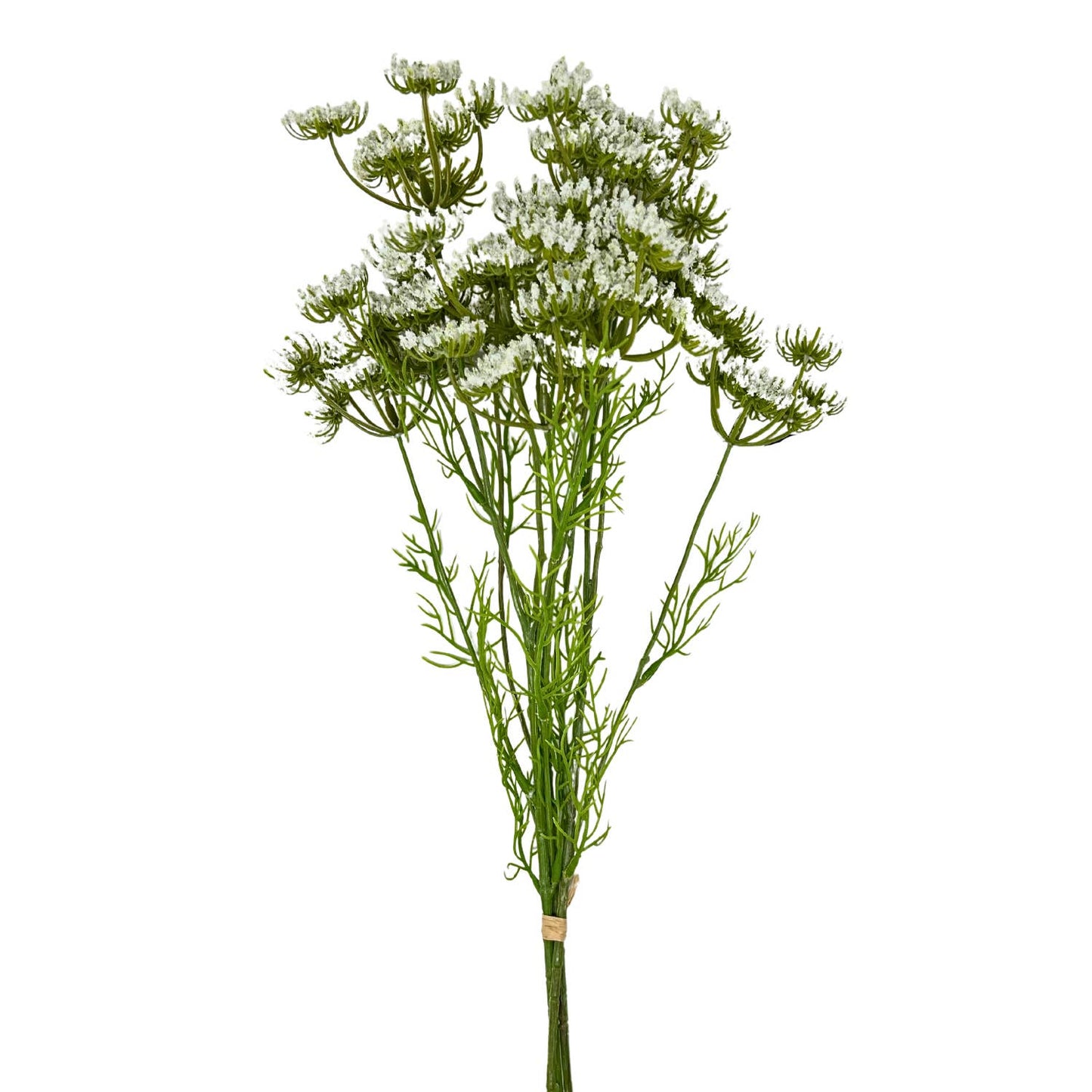 David Christopher's Collection - 24” Queen Anne's Lace Bundle x 3 - White