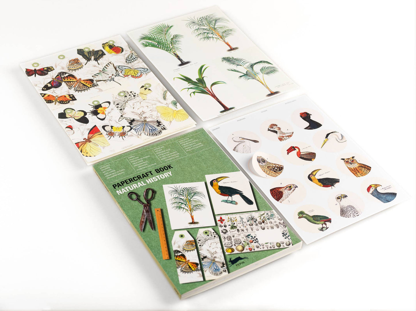 Pepin Press - Natural History Papercraft Book