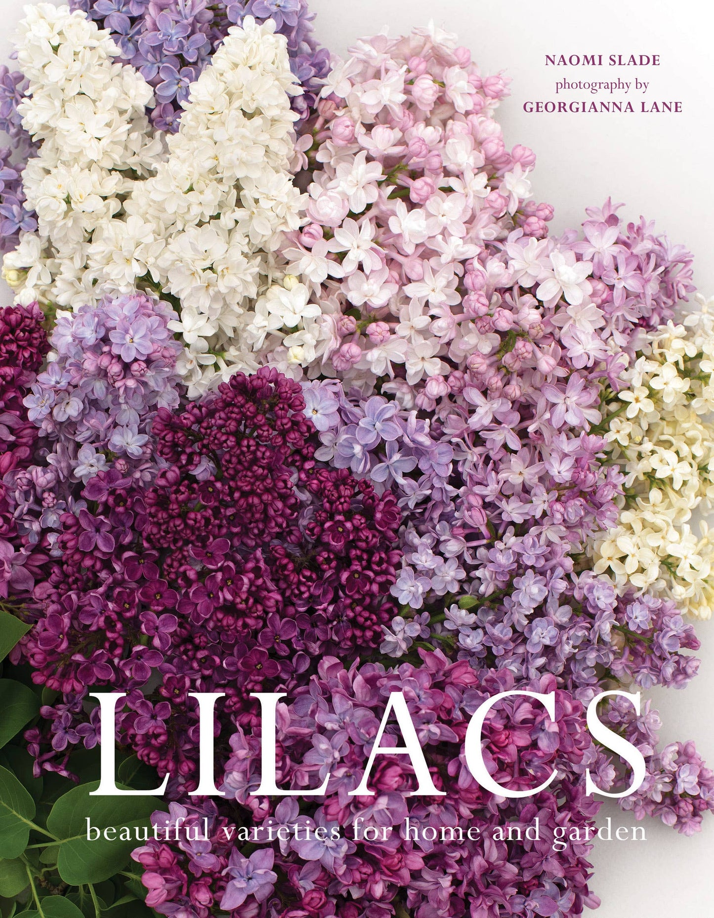 Gibbs Smith - Lilacs: Beautiful Varieties for Home & Garden