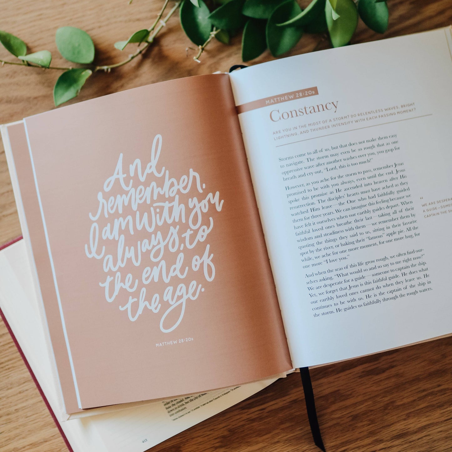 The Daily Grace Co - The Promises of God | Coffee Table Book