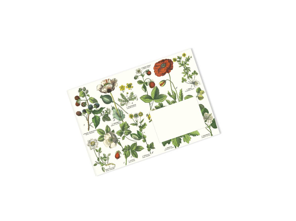 Pepin Press - Botanical C6-Envelopes