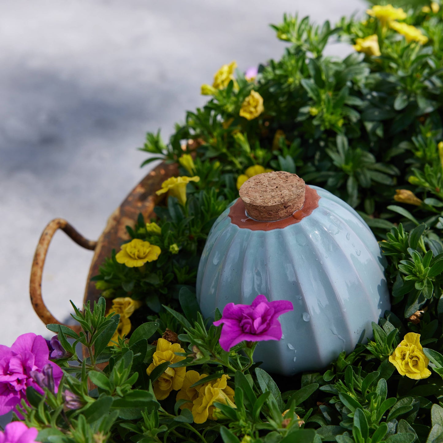 Modern Sprout - Terracotta Watering Bulb