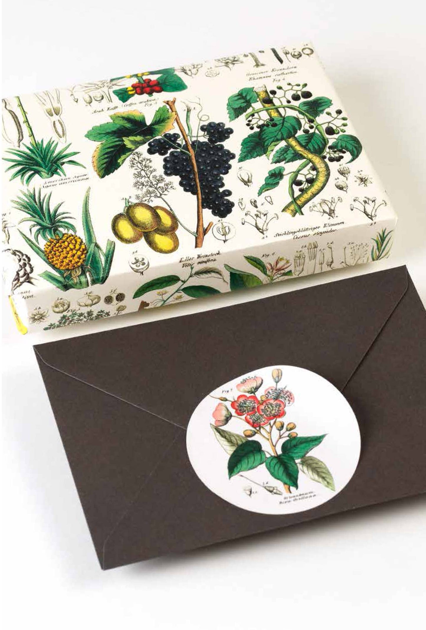 Pepin Press - Flora Label Sticker & Tape Book