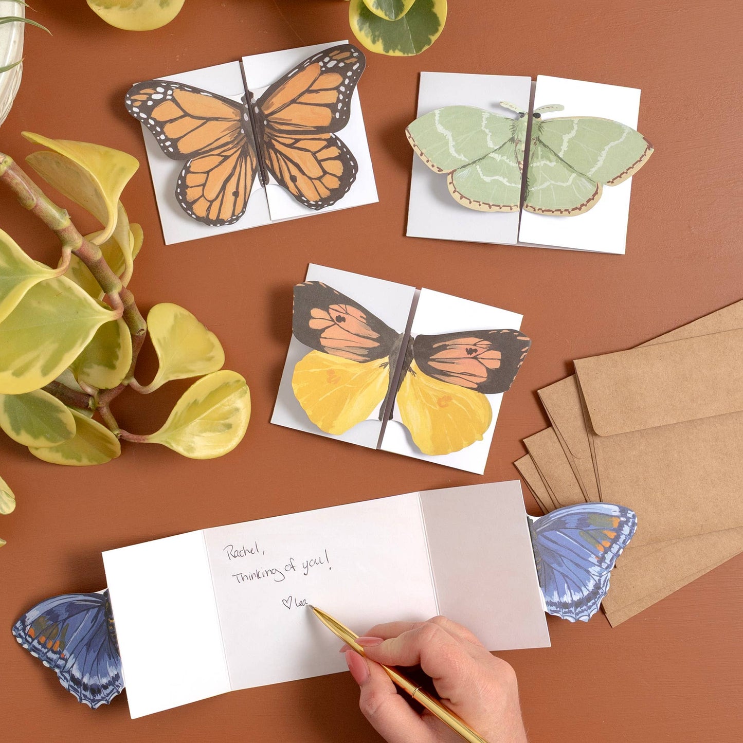 1canoe2 | One Canoe Two Paper Co. - Flutter Friends Butterfly Fold-Out Greeting Card Box Set