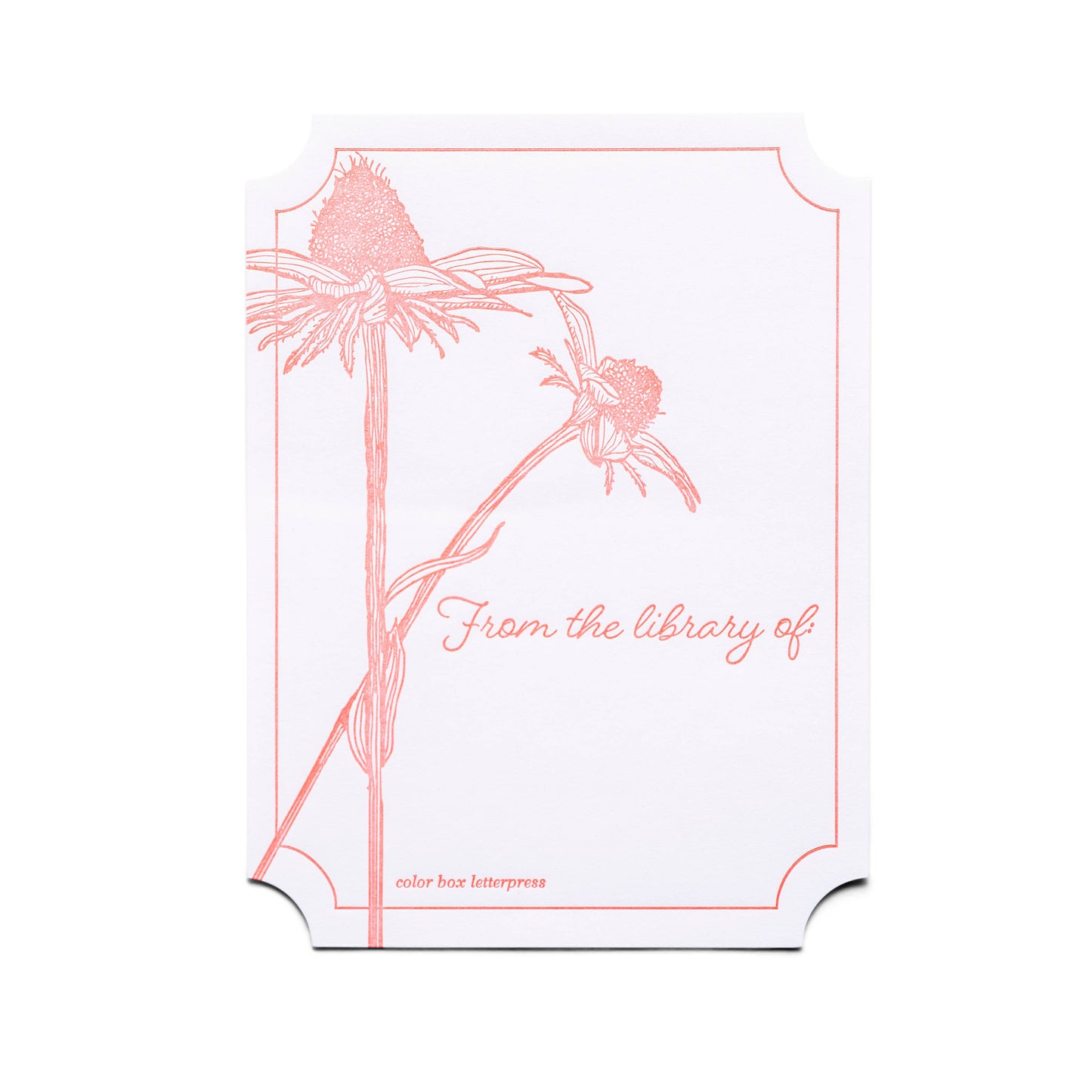 Color Box Design & Letterpress - Bookplates | Coneflower | Set of 4