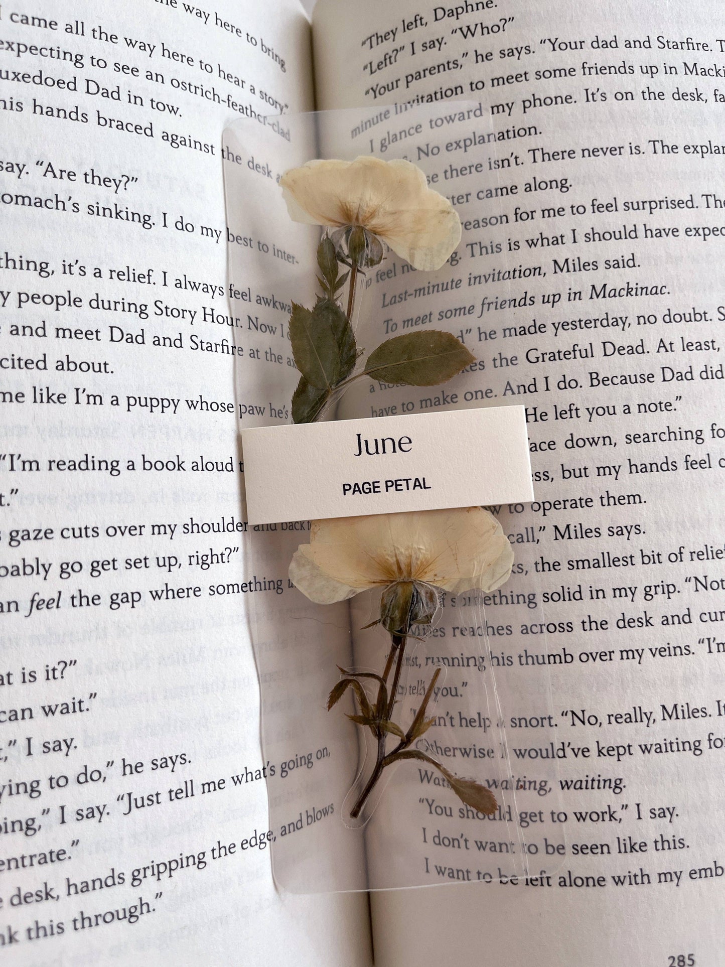 Page Petal - June Rose Bookmark | Birth Month Flower Gift
