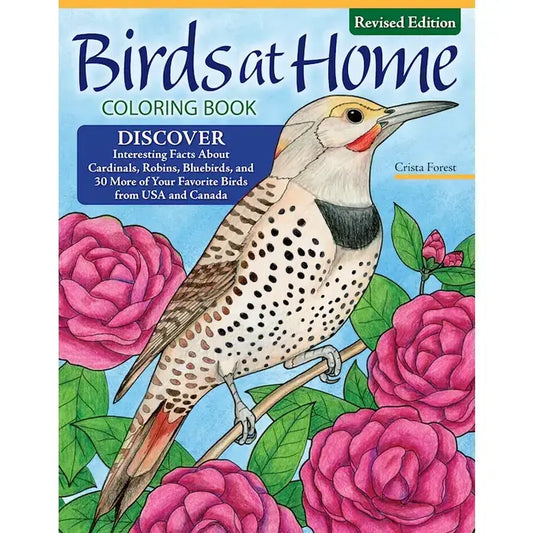 Wellspring - Coloring Book - Birds at Home