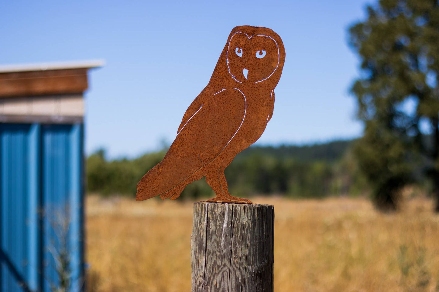 Elegant Garden Design - Barn Owl Tab