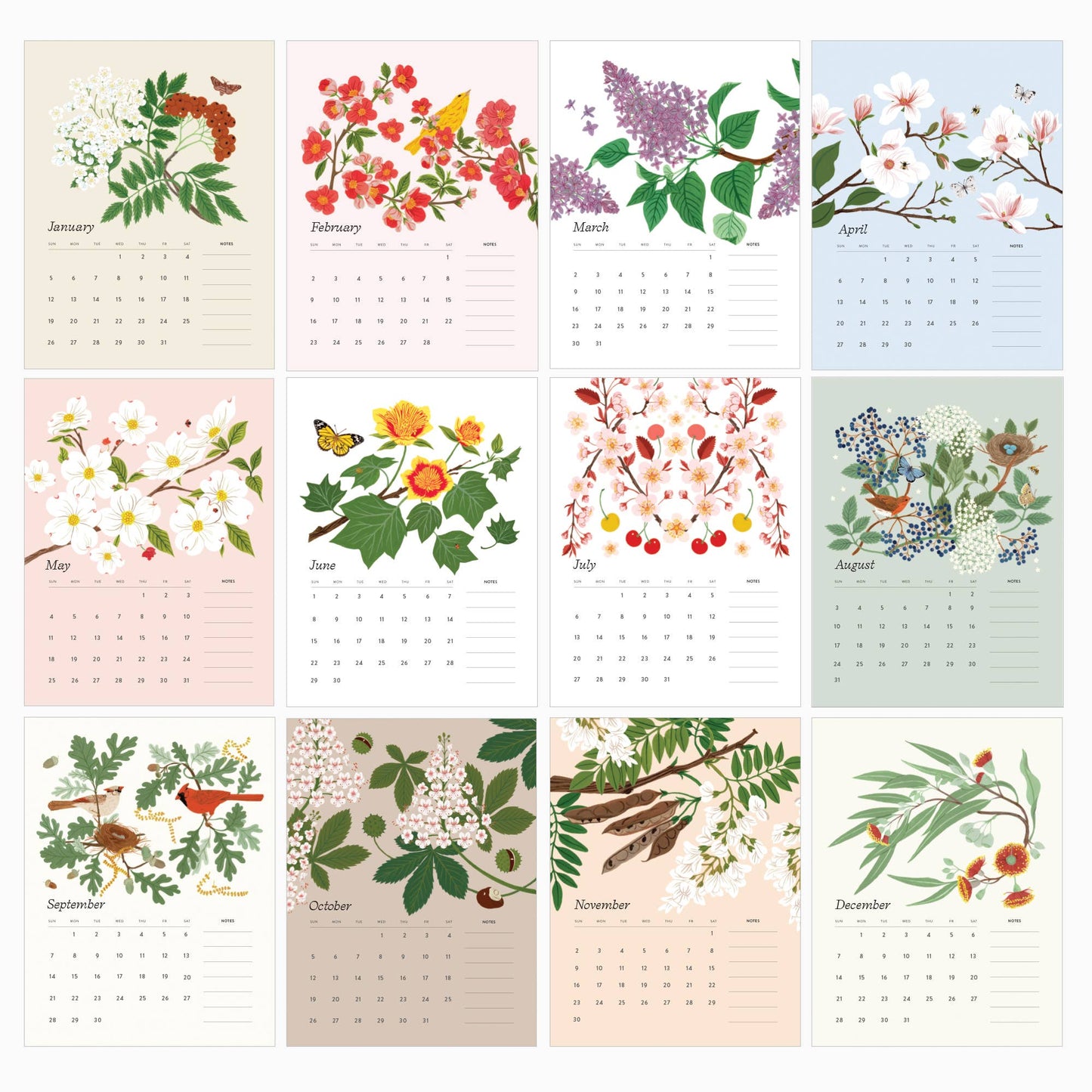 Botanica Paper Co. - 2025 DESK CALENDAR / FLOWERING TREES