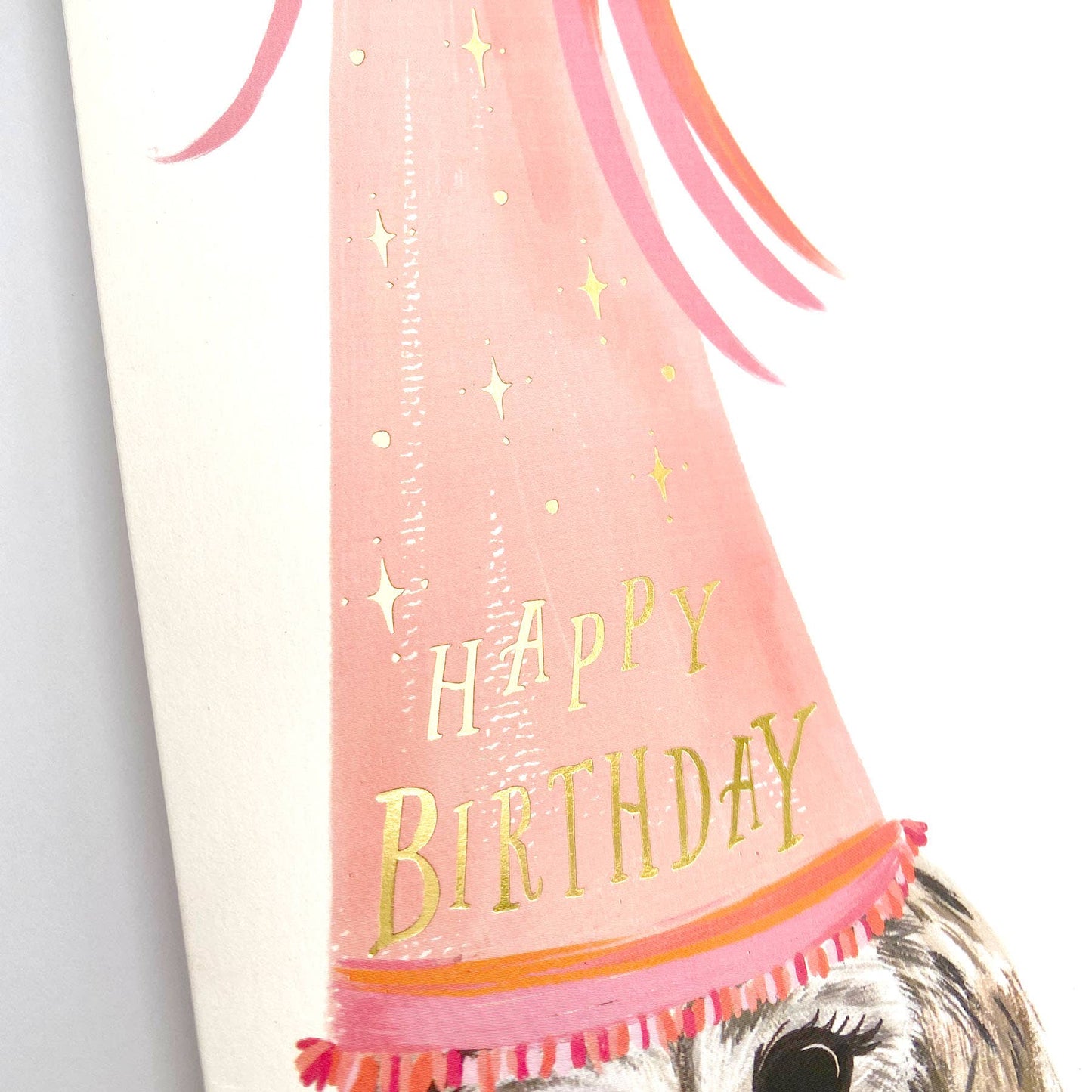 The First Snow - Owl Birthday Hat Happy Birthday Greeting Card