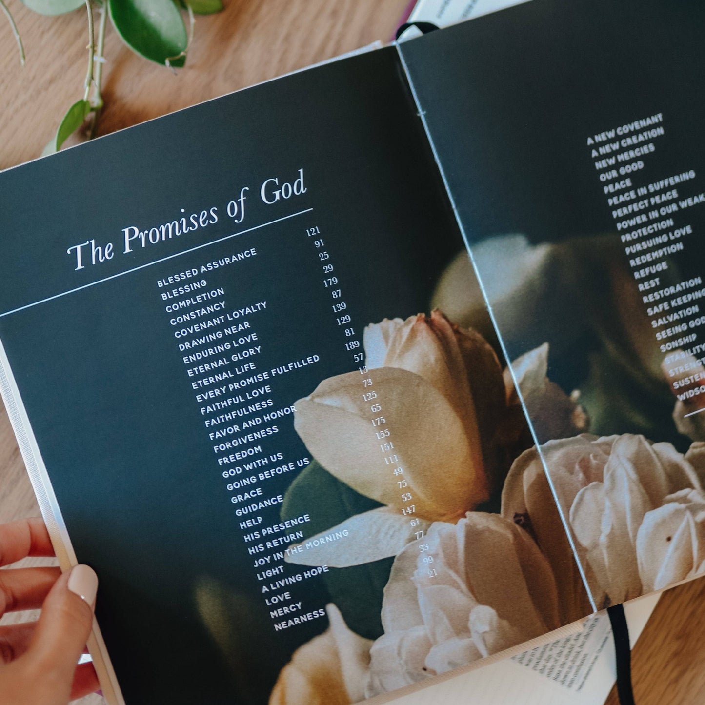 The Daily Grace Co - The Promises of God | Coffee Table Book