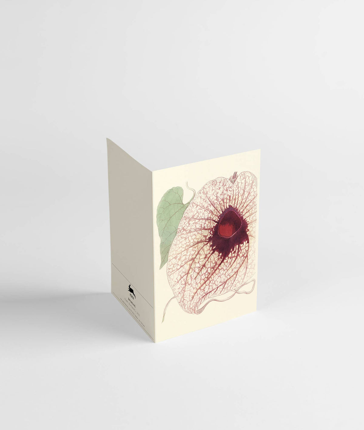 Pepin Press - Botanical Correspondence Set