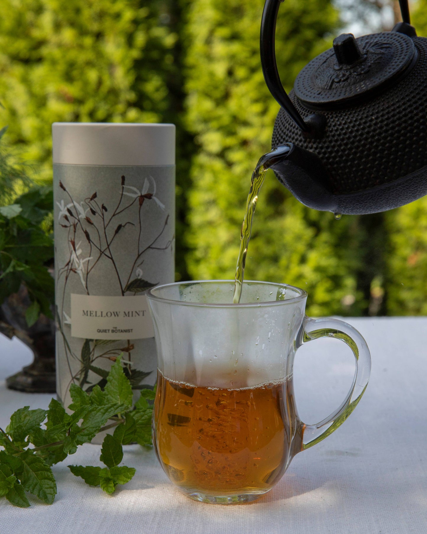 The Quiet Botanist - Mellow Mint Tea Gift Set