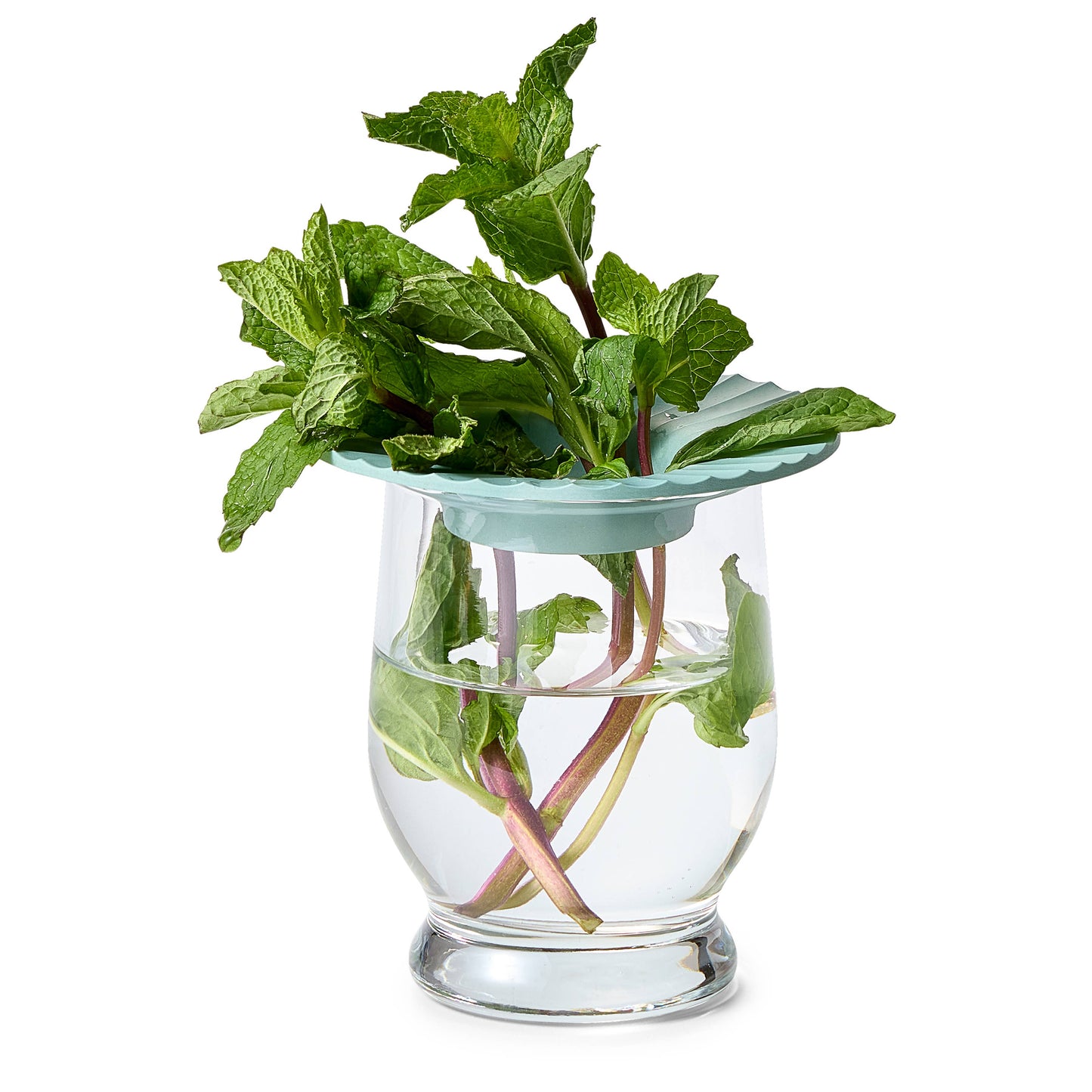 Modern Sprout - Produce Keepers - Set of 2
