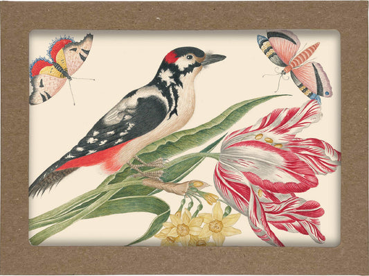Penguin Random House LLC - Smithsonian Birds and Flowers Notecard Set