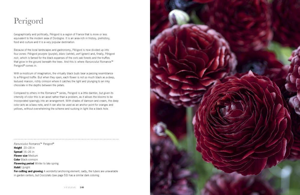 Gibbs Smith - Ranunculus: Beautiful varieties for home and garden