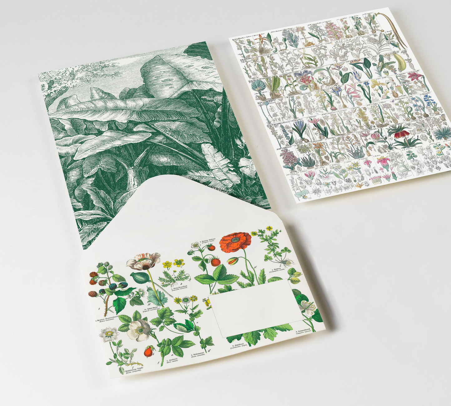 Pepin Press - Botanical C6-Envelopes