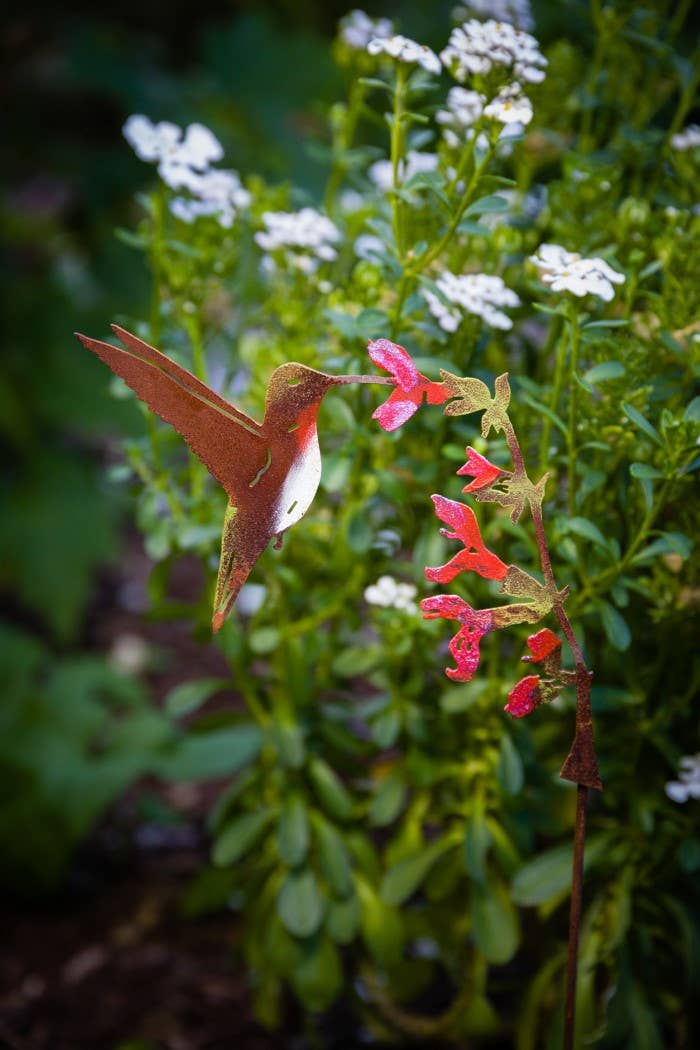 Elegant Garden Design - Hummingbird on Salvia Pick -Painted