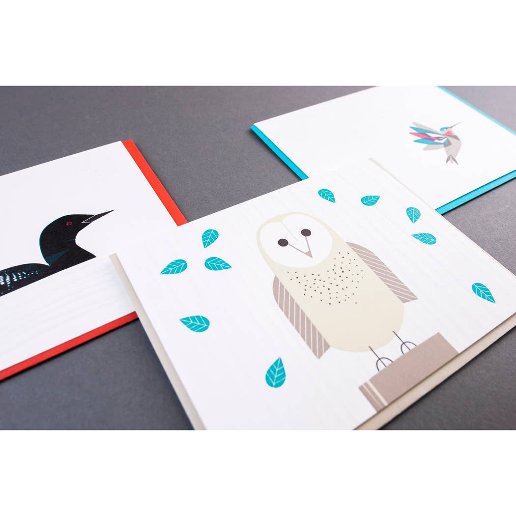 Modern Birds Folder Set - Assorted Set of 6