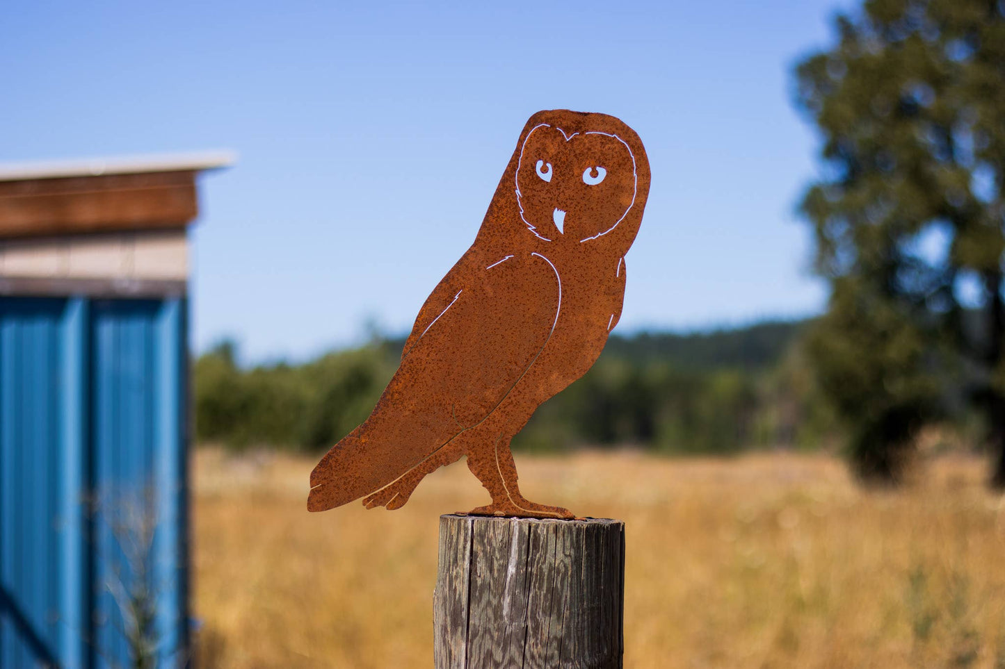 Elegant Garden Design - Barn Owl Tab