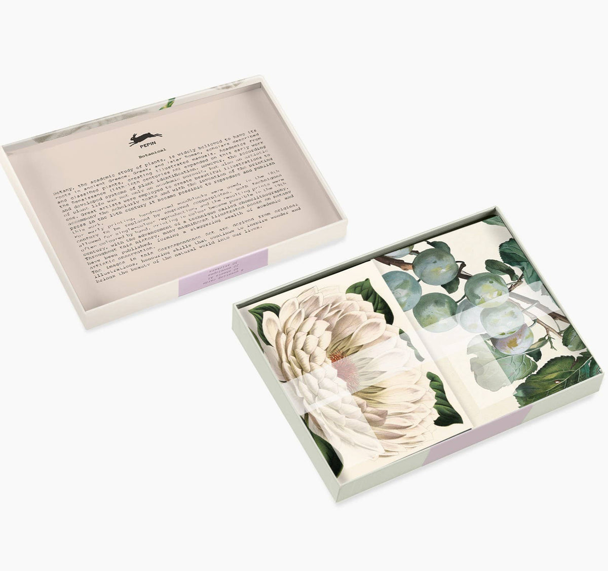 Pepin Press - Botanical Correspondence Set