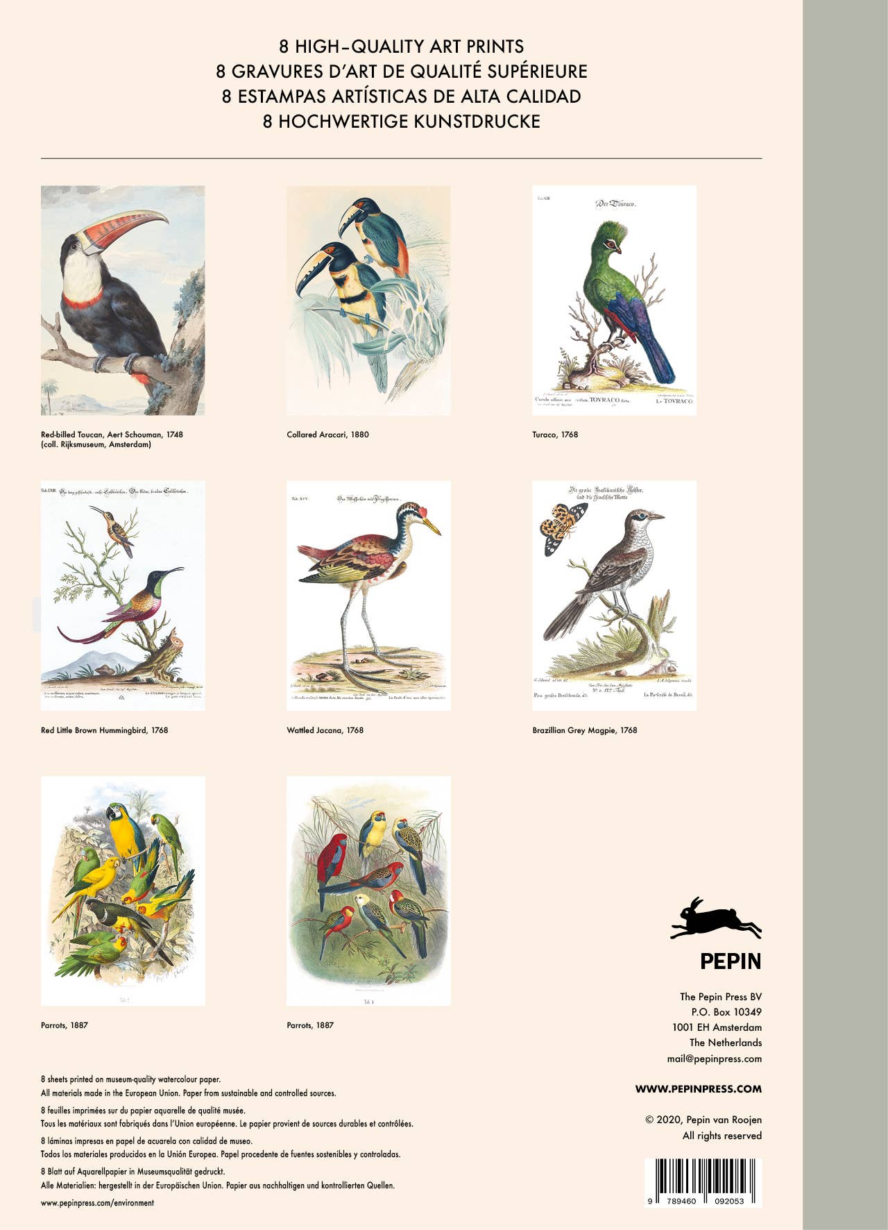 Pepin Press - Tropical Bird Prints - 8 museum-quality art prints