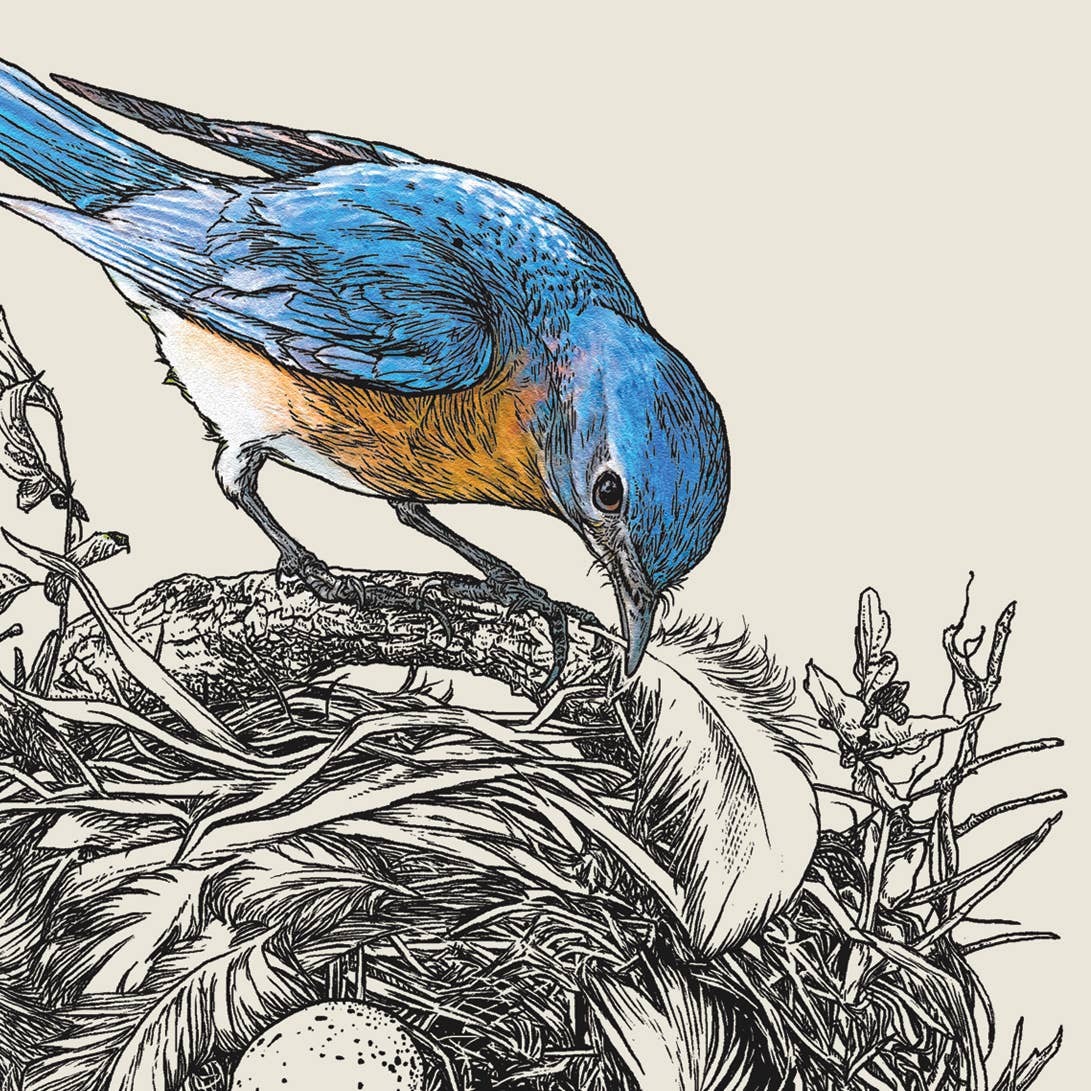 Brook Isle - Bluebird's Nest 5x7 Notecard Set